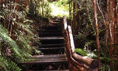 Parcela en Venta en Refugio Tarahuin