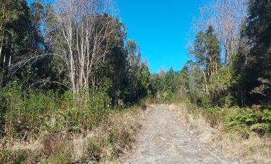 Parcela en Venta en Por ruta V225, camino ensenada KM 37,5