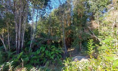 Parcela en Venta en Por ruta V225, camino ensenada KM 37,5