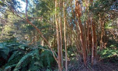 Parcela en Venta en Por ruta V225, camino ensenada KM 37,5