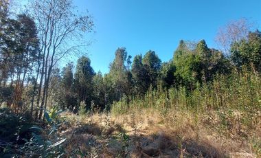 Parcela en Venta en Por ruta V225, camino ensenada KM 37,5