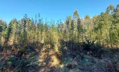 Parcela en Venta en Por ruta V225, camino ensenada KM 37,5