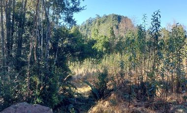 Parcela en Venta en Por ruta V225, camino ensenada KM 37,5