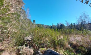 Parcela en Venta en Por ruta V225, camino ensenada KM 37,5