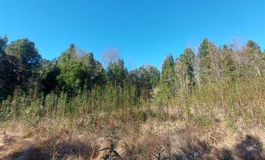 Parcela en Venta en Por ruta V225, camino ensenada KM 37,5