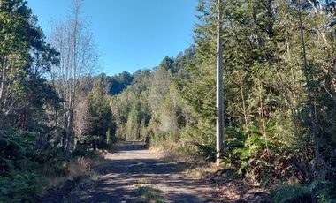 Parcela en Venta en Por ruta V225, camino ensenada KM 37,5