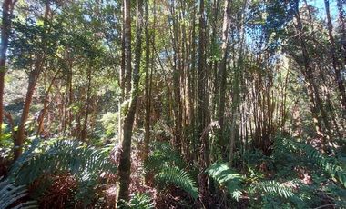 Parcela en Venta en Por ruta V225, camino ensenada KM 37,5