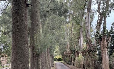 Triplex en venta en Barrio Los 3 Coniles, Derqui, Pilar, GBA Norte - 5 Ambientes