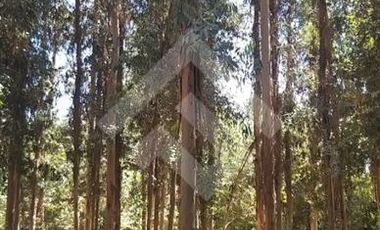 Sitio en Venta en Entrada a San Vicente a mano izquierda