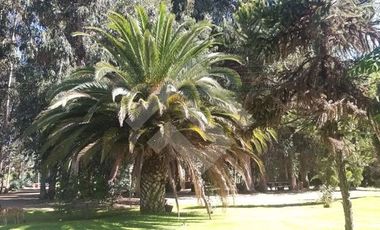 Sitio en Venta en Entrada a San Vicente a mano izquierda