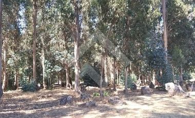 Parcela en Venta en Entrada a San Vicente a mano izquierda