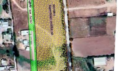 Parcela en Venta en 1,6 hectareas en fundo El Encanto, Pan de Azúcar, Coquimbo.