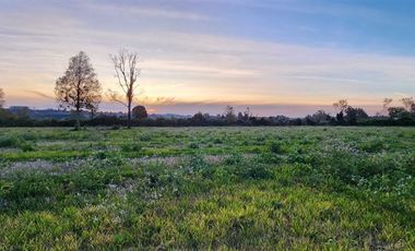 Sitio en Venta en Lago Ranco (a 5 minutos)