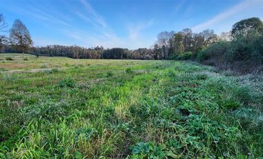 Sitio en Venta en Lago Ranco (a 5 minutos)