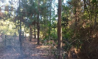 Parcela en Venta en yakos ltda