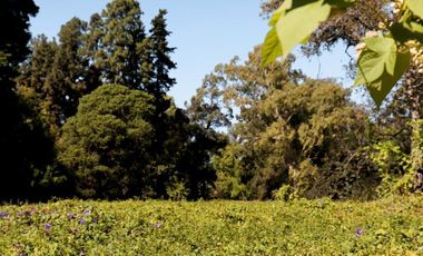 Lote en venta en Estancia Villa María Canning