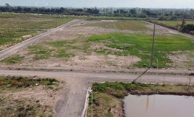 Terreno - San Lorenzo