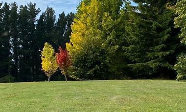 Parcela en Venta en Cayumapu