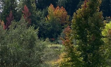 Parcela en Venta en Cayumapu