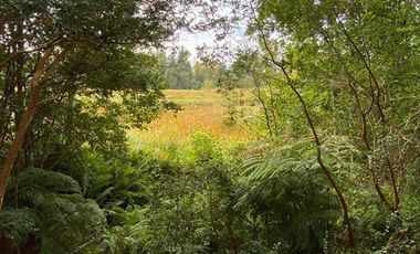 Parcela en Venta en Cayumapu