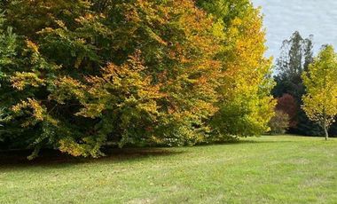 Parcela en Venta en Cayumapu