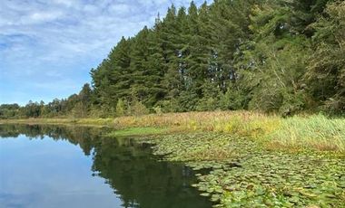 Parcela en Venta en Cayumapu