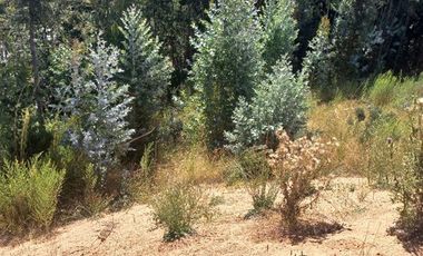 Parcela en Venta en Condominio Borde Rio