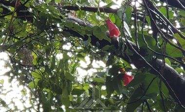 Hotel en Venta en Cajón de Pejerrey