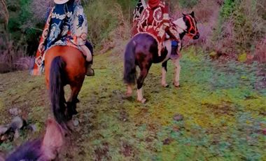 Hotel en Venta en Cajón de Pejerrey