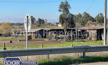 Agrícola en Venta en Circunvalación sur Talca, ruta K-630, Unihue, sector industrial , 39 mil m2.