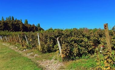Casa en Venta en Lagunillas de Arquén