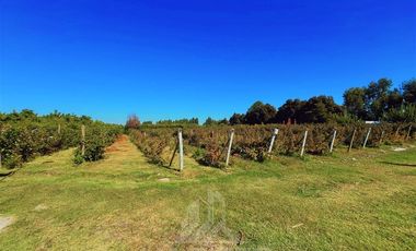 Parcela en Venta en Lagunillas de Arquén