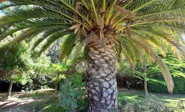 Casa en Arriendo en Camino a Huelquén