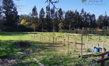 Casa en Arriendo en Las Acacias - Talagante