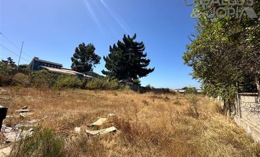 Sitio en Venta en Avenida Marga Marga, Quilpué