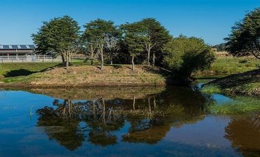 Parcela en Venta en Rancho Lomas Verdes