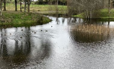 Parcela en Venta en Rancho Lomas Verdes