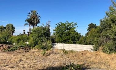 Sitio en Venta en calle Chanquico