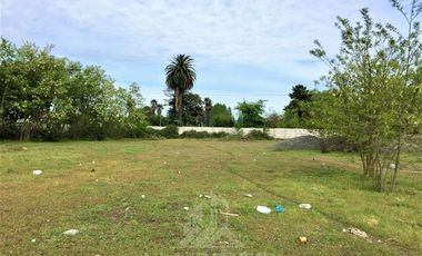 Sitio en Venta en calle Chanquico