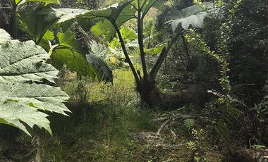 Parcela en Venta en Parque Tepuhueico