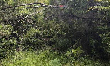 Parcela en Venta en Parque Tepuhueico
