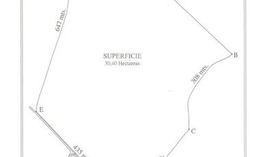 Agrícola en Venta en Central Zúñiga