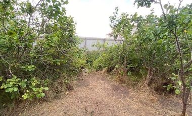 Casa en Venta en Entre Chorrillos y Miraflores