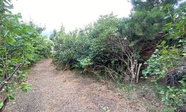 Casa en Venta en Entre Chorrillos y Miraflores