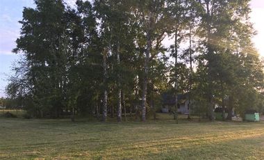 Parcela en Venta en Sector Catripulli