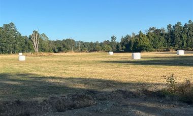 Parcela en Venta en Paillaco