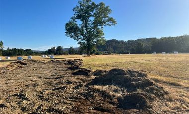 Parcela en Venta en Paillaco