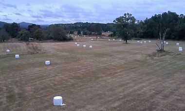 Parcela en Venta en Paillaco