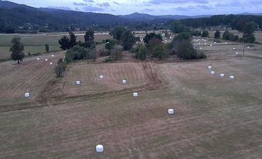 Parcela en Venta en Paillaco