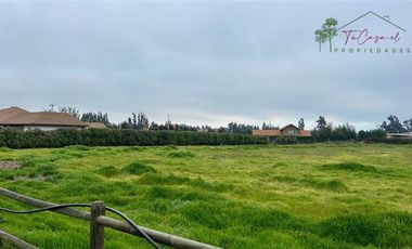 Parcela en Venta en Camino Carampangue - Colegio Trebulco